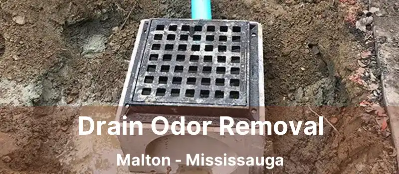  Drain Odor Removal Malton - Mississauga